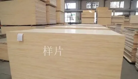 Pannelli incollati con bordo in Paulownia con certificato FSC Jas